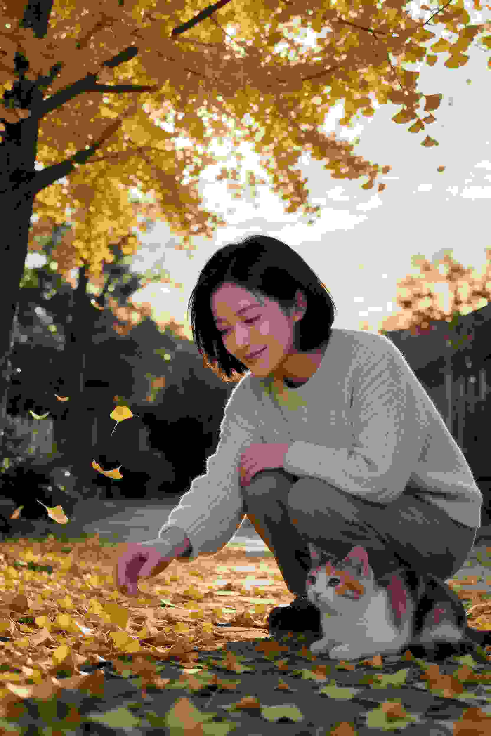 我的阿勒泰